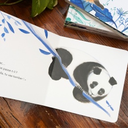 Petit panda