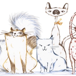 Roger le chat (pas trop) malin et le morceau de camembert