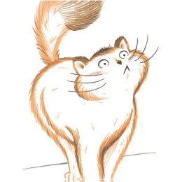 Roger le chat (pas trop) malin et le morceau de camembert