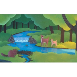 Dans la nature de Coralie Saudo et Marie Millotte