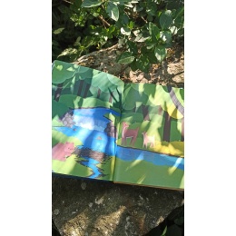 Dans la nature de Coralie Saudo et Marie Millotte