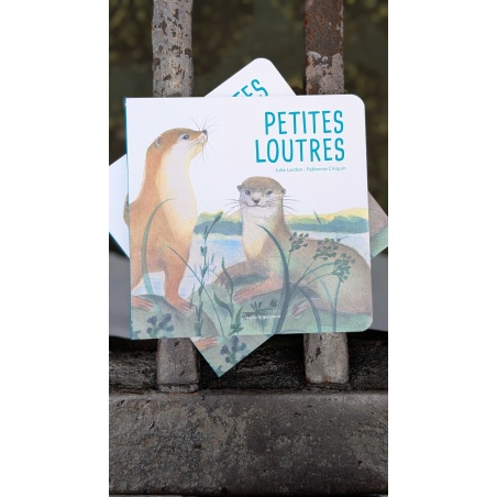 Petites Loutres Petites Loutres
