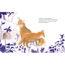 Petit renard au clair de lune