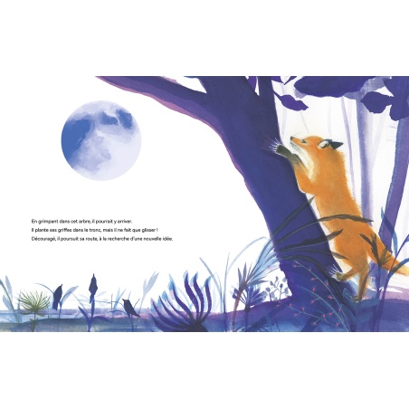 Petit renard au clair de lune Petit renard au clair de lune