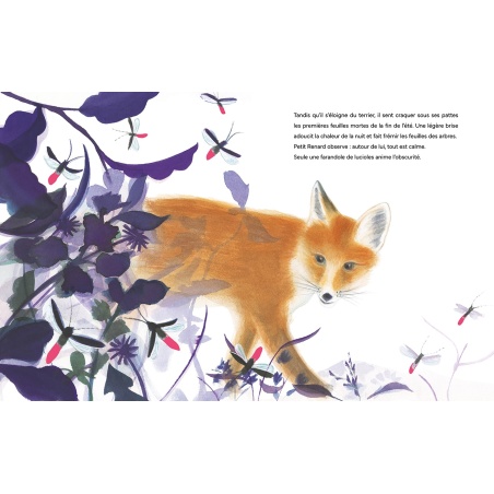 Petit renard au clair de lune Petit renard au clair de lune