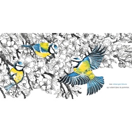 Dans le jardin, tout est calme...