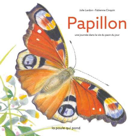 Papillon : une journée dans la vie du paon du jour