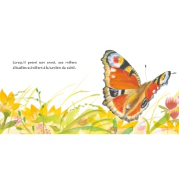 Papillon : une journée dans la vie du paon du jour