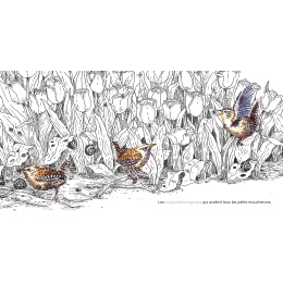 Dans le jardin, tout est calme...