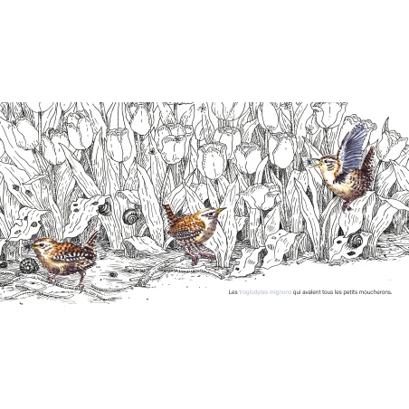 Dans le jardin, tout est calme...