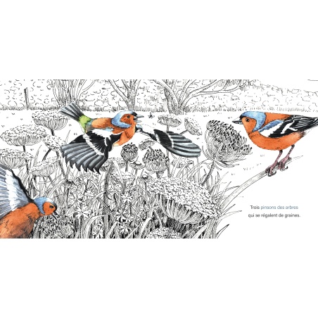 Dans le jardin, tout est calme...