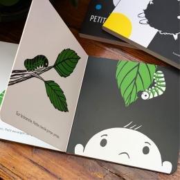 Pack 3 Contrastés + 1 mystère