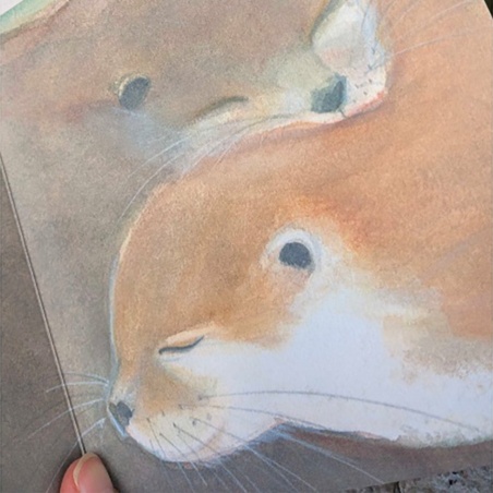 Pack 3 Petites animaux + 1 mystère