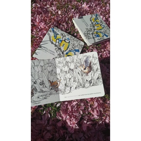 Dans le jardin, tout est calme...