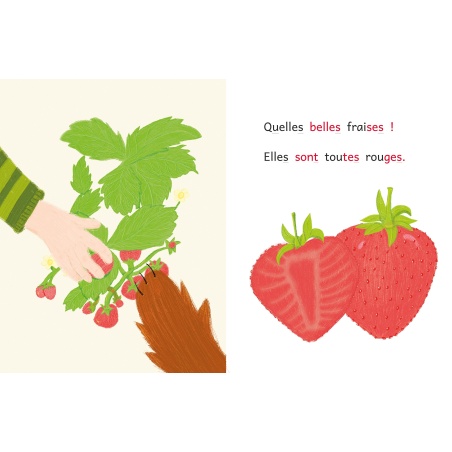 Pack Charlie et Miam : Les 4 saisons