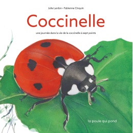 Coccinelle