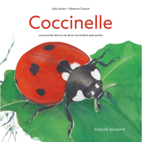 Coccinelle