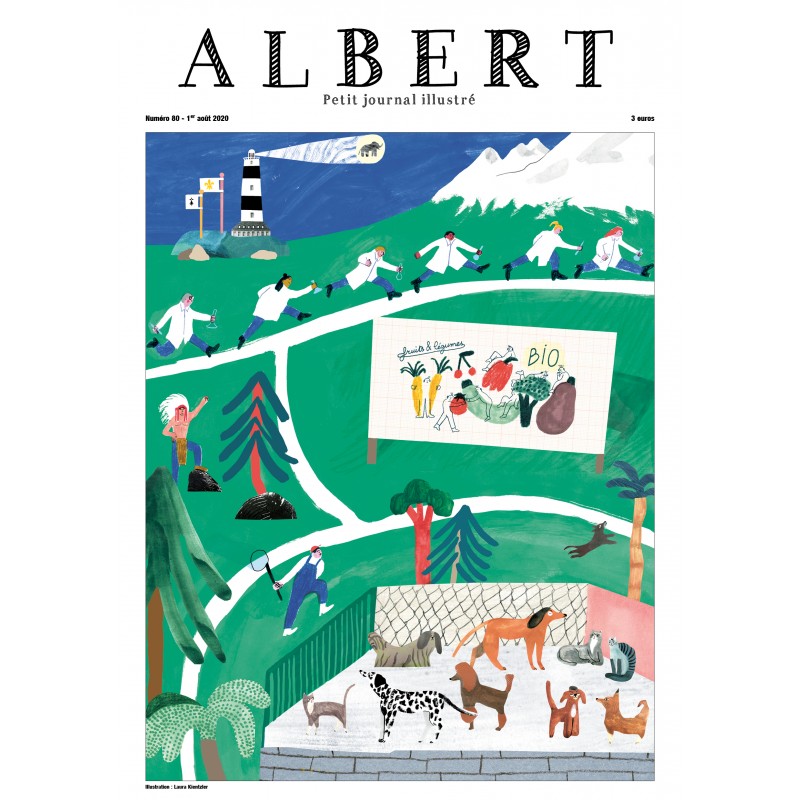 Albert N°80