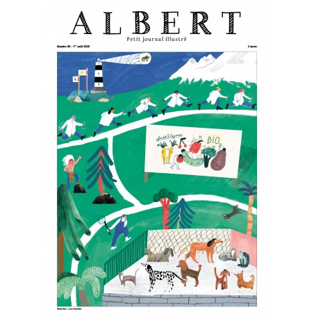 Albert N°80