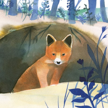 Petit renard Petit renard