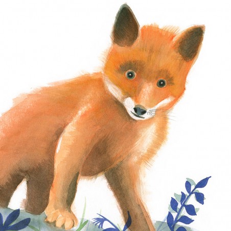 Petit renard Petit renard