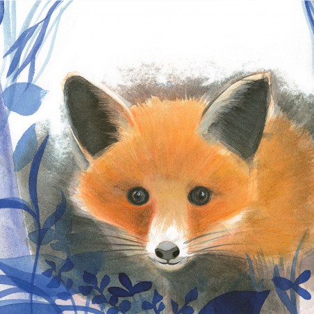 Petit renard Petit renard